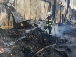 Масштабный пожар под Киевом: горела овощебаза.Видео