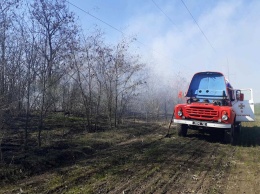В Николаевской области за сутки семь раз загорался сухостой, - ФОТО