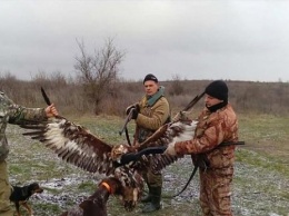 Два полицейских похвастались убийством птицы из «Красной книги» под Одессой