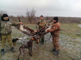 Одесская полиция завела дело на коллег, охотившихся на птиц из Красной книги