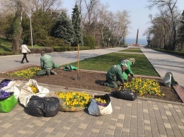 В Одессе коммунальные службы высаживают цветы и благоустраивают город