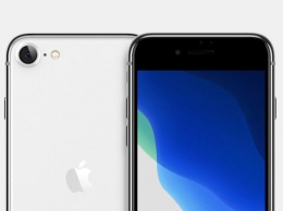 Apple случайно подтвердила выход iPhone SE 2020