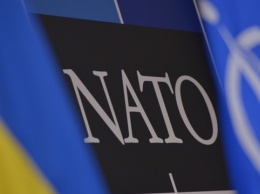 В НАТО сообщили подробности новых инициатив в отношении Украины и Грузии