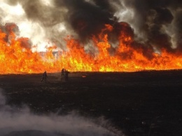 В Киеве за 12 дней зафиксировали 144 пожара в экосистемах