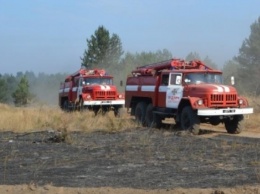 В Украине уничтожено огнем за сутки 20 гектаров экосистемы