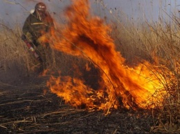 Харьковскую область поглотили сезонные пожары