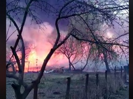 Житомир накрыли сильные пожары: видео очевидцев