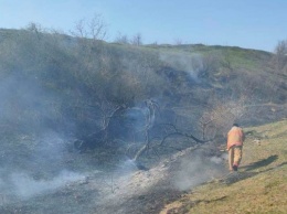 За прошедшие сутки на Херсонщине 3 раза горели сухая трава, мусор и камыш