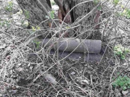 На Днепропетровщине в 5 районах пиротехники обезвредили устаревшие боеприпасы