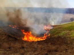 Под Харьковом горит трава (фото)