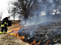За сутки в Украине произошло почти 700 пожаров на открытых территориях, - ГСЧС