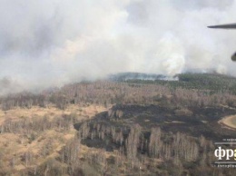В Житомирской области несколько дней горит лес