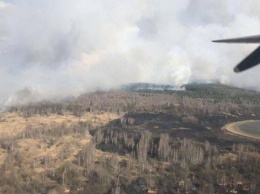 В Кабмине призывают украинцев не сжигать сухую растительность