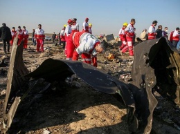 Иранский депутат заявил, что виновных в катастрофе самолета МАУ не будут арестовывать