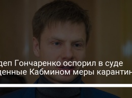 Нардеп Гончаренко оспорил в суде введенные Кабмином меры карантина