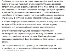 Варварство с привкусом пепла. Чернобыльский заповедник показал масштабы пожаров в зоне отчуждения ЧАЭС с высоты птичьего полета