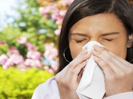 Как не перепутать аллергию с инфекцией