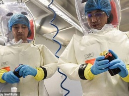 Британское правительство больше не исключает теорию об утечке коронавируса из лаборатории в Ухане