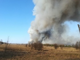 На Житомирщине локализовали лесные пожары площадью более 200 гектаров