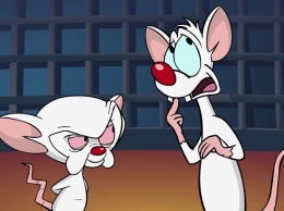 Пинки и Брейн возвращаются в ремейке «Озорных анимашек»