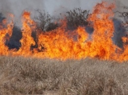 Под Киевом в сгоревшей траве нашли тело мужчины