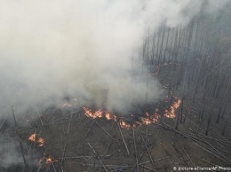 Чем опасен пожар в Чернобыльской зоне отчуждения