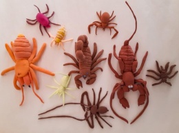Криворожский школьник собственноручно создал полчище паукообразных