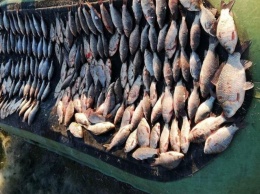 В Верхнеднепровском районе задержали рыбаков-браконьеров