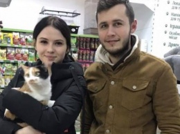 В Харькове благодаря благотворительному проекту нашли дом для ста кошек