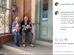 Вылечившийся от коронавируса принц Чарльз в честь 15-летия свадьбы с Камиллой показал своих собак