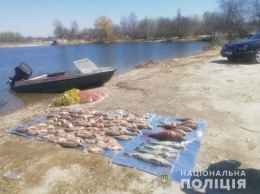 Возле Старой Збурьевки опять орудовали водные браконьеры