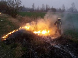 На Киевщине сгорело более 196 га сухостоя