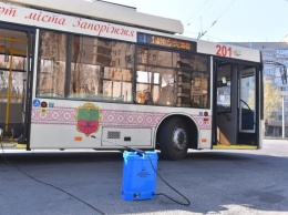 Как в Запорожье моют общественный транспорт - фото