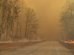 В Чернобыльской зоне седьмой день тушат лесной пожар