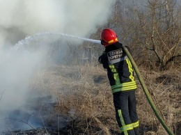 Под Житомиром неизвестные подожгли сухостой возле места, где спасатели как раз тушили огонь