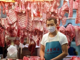 В Китае запретили разведение собак с целью употребления в пищу