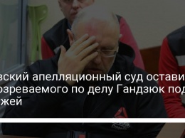 Киевский апелляционный суд оставил подозреваемого по делу Гандзюк под стражей