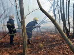 ГСЧС: пожар в Чернобыльской зоне не затухает уже неделю, уровень радиации в норме