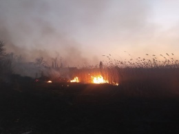 Опять поджоги. Траву и камыш жгли в Николаеве (ФОТО)