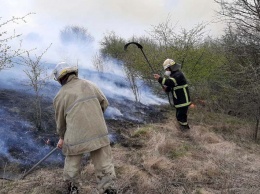 Спасатели тушили масштабный пожар: выгорело почти 5 гектаров
