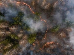 Спутники НАСА зафиксировали шлейфы от дыма лесных пожаров в районе ЧАЭС