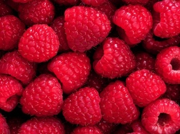 Малина: сладкая ягода с удивительной пользой для здоровья