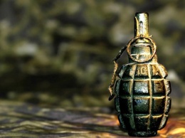 Неизвестный бросил гранату в частный дом в Житомирской области