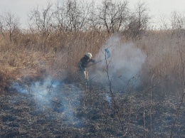 На Херсонщине за сутки выгорело два гектара экосистемы
