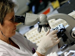 Японские ученые нашли препарат, блокирующий размножение коронавируса