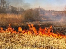 В Украине хотят повысить штраф за поджог сухой травы до 153 тысяч грн