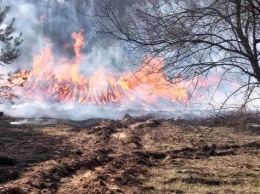 Из-за мощных пожаров в Чернобыле в воздух поднимается радиация: ситуация сложная