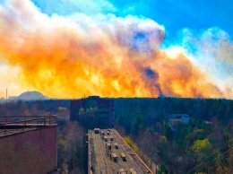 Пожары в зоне отчуждения: Огонь вплотную подошел к Припяти и подбирается к хранилищам отходов с ЧАЭС
