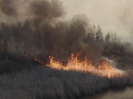 Как в Голливудских фильмах: размах пожара в Чернобыле поражает. Видео до мурашек