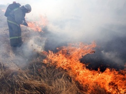 В Запорожской области полыхали пожары на природе